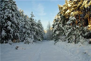 《开拓者：正义之怒》新DLC虚无之主发售日透露